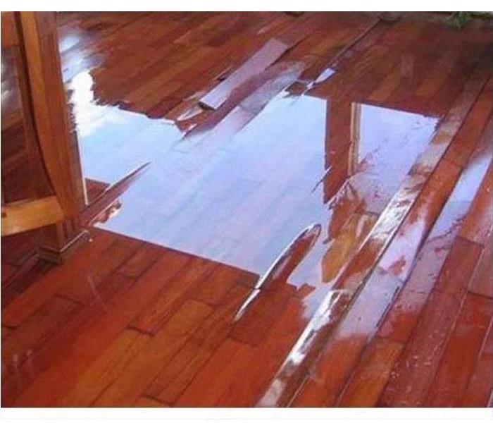 pooling water on warped red floorboards